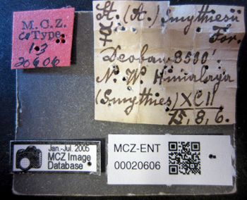 Media type: image;   Entomology 20606 Aspect: labels